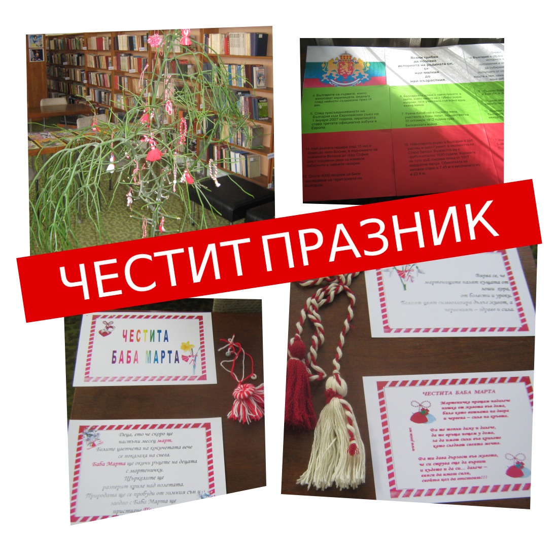 bsn208